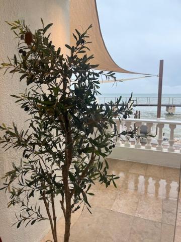 Hotel Restaurant Juanito Platja Sant Carlos de la Ràpita 외부 사진